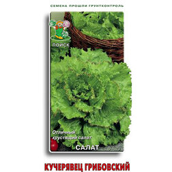 ����  ������ ������ ��������� ����������, ������ �� 25 ���