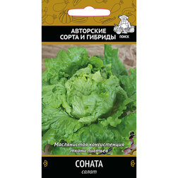 ����  ����� ������, ������ �� 29 ���