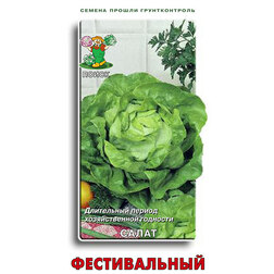 ����  ����� ������������, ������ �� 29 ���