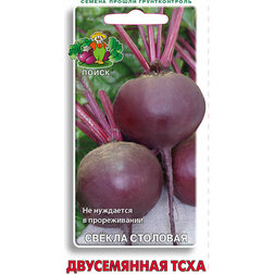 ����  ����� �������� ����������� ����, ������ �� 25 ���