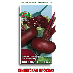 ����  ������ �������� ���������� �������, ������ �� 29 ���