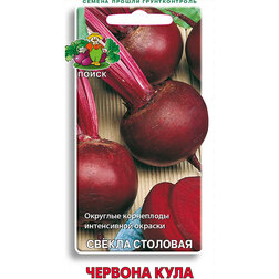 ����  ������ �������� ������� ����, ������ �� 25 ���