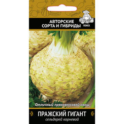 ����  ��������� �������� �������� ������, ������ �� 29 ���