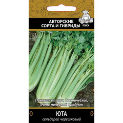 ����  ��������� ���������� ���, ������ �� 29 ���