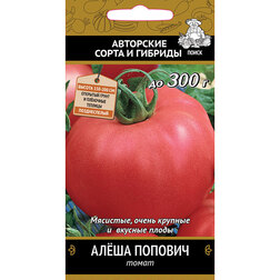 ����  ����� ���� �������, ������ �� 29 ���