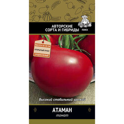 ����  ����� ������, ������ �� 29 ���