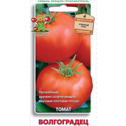 ����  ����� �����������, ������ �� 29 ���