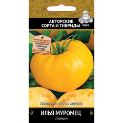 ����  ����� ���� �������, ������ �� 29 ���