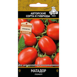 ����  ����� �������, ������ �� 29 ���