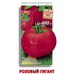 ����  ����� ������� ������, ������ �� 25 ���