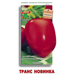 ����  ����� ����� �������, ������ �� 29 ���