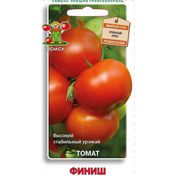 ����  ����� �����, ������ �� 25 ���