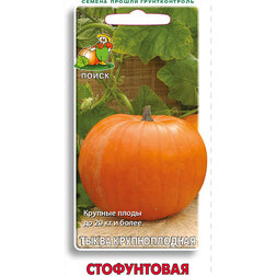 ����  ����� ������������� �����������, ������ �� 30 ���