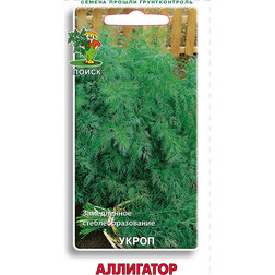 ����  ������ ������ ���������, ������ �� 25 ���