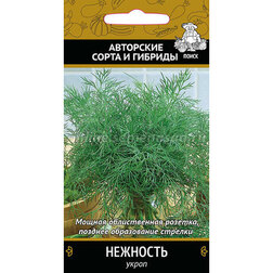 ����  ����� ��������, ������ �� 29 ���