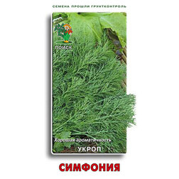 ����  ������ ������ ��������, ������ �� 29 ���