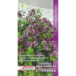 ����  ������ ������������ ���������, ������ �� 29 ���