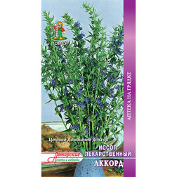 ����  ����� ������������� ������, ������ �� 30 ���