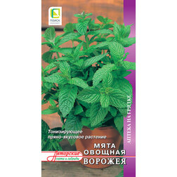 ����  ���� ������� �������, ������ �� 50 ���