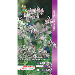 ����  ������ ������� ������, ������ �� 34 ���