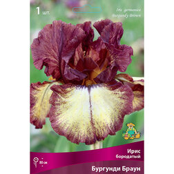 ����  ���� ��������� �������� �����, ������ �� 455 ���