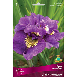 ����  ���� ��������� ���� ��������, ������ �� 292 ���