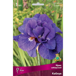 ����  ���� ��������� ������, ������ �� 292 ���