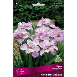 ����  ���� ��������� ����-��-������, ������ �� 292 ���