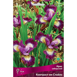 ����  ���� ��������� �������� �� ������, ������ �� 306 ���