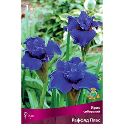 ����  ���� ��������� ������ ����, ������ �� 292 ���