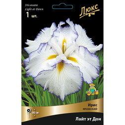 ����  ���� �������� ���� �� ���, ������ �� 493 ���