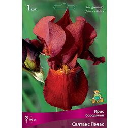 ����  ���� ��������� ������� �����, ������ �� 455 ���