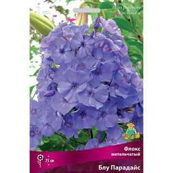 ����  ����������� ����� ����������� ��� ��������, ������ �� 258 ���