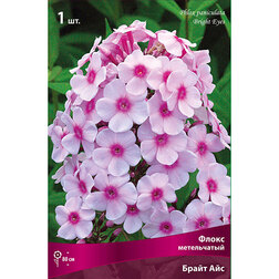 ����  ����� ����������� ����� ���, ������ �� 246 ���