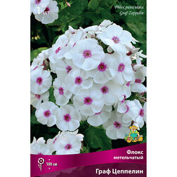 ����  ����� ����������� ���� ��������, ������ �� 258 ���