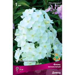 ����  ����� ����������� �����, ������ �� 258 ���