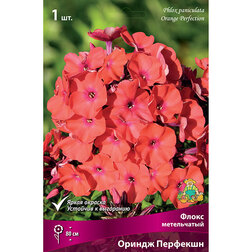 ����  ����� ����������� ������ ��������, ������ �� 246 ���