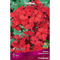 ����  ����� ����������� ���������, ������ �� 258 ���