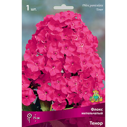 ����  ����� ����������� �����, ������ �� 246 ���