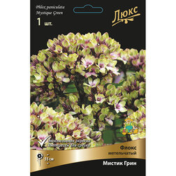 ����  ����� ����������� ������ ����, ������ �� 348 ���