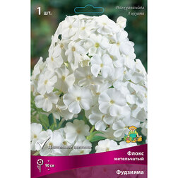 ����  ����� ����������� ��������, ������ �� 258 ���