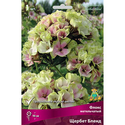 ����  ����� ����������� ������ �����, ������ �� 297 ���