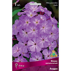 ����  ����� ����������� �����, ������ �� 258 ���