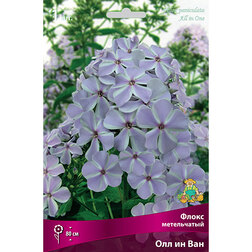 ����  ����� ����������� ��� �� ���, ������ �� 328 ���