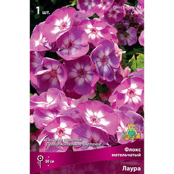 ����  ����� ����������� �����, ������ �� 258 ���