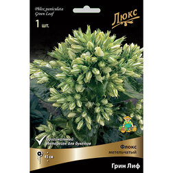 ����  ����� ����������� ���� ���, ������ �� 416 ���