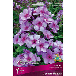 ����  ����� ����������� ������ �����, ������ �� 275 ���