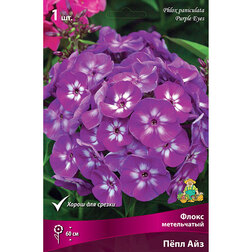 ����  ����� ����������� ϸ�� ���, ������ �� 263 ���