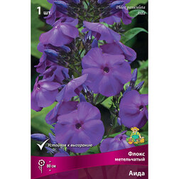 ����  ����� ����������� ����, ������ �� 258 ���