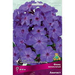 ����  ����� ����������� �������, ������ �� 246 ���